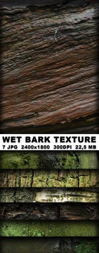 Wet bark texture