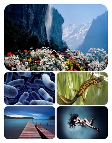 Beautiful Mixed Wallpapers Pack51