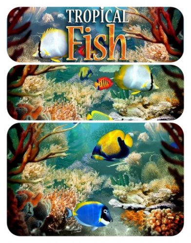 Tropical Fish 3D Screensaver 1.1 Build 6.9