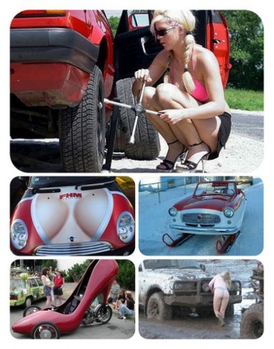 Humor - Cars and Girls
