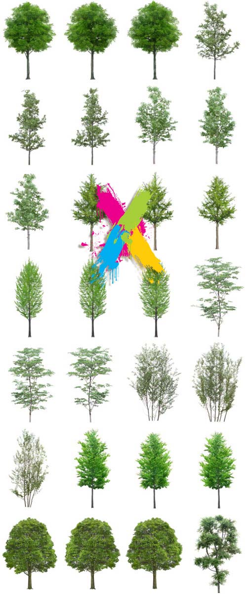 Tenkei Kobo TK11 Tree 3