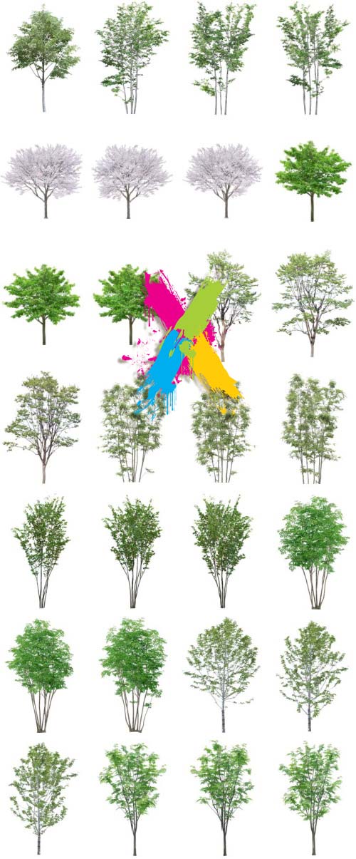 Tenkei Kobo TK11 Tree 3