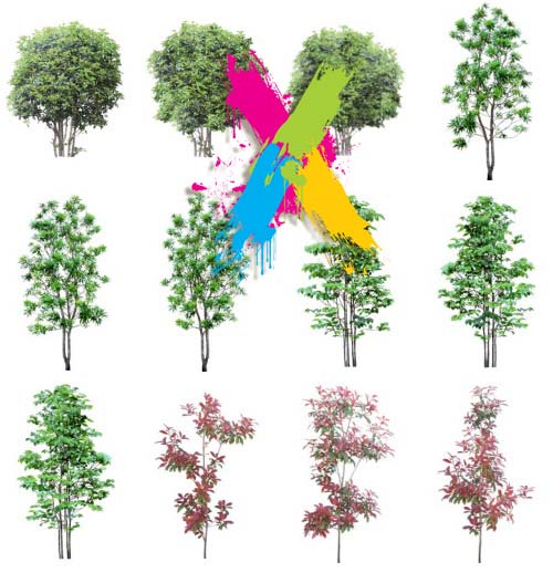 Tenkei Kobo TK11 Tree 3