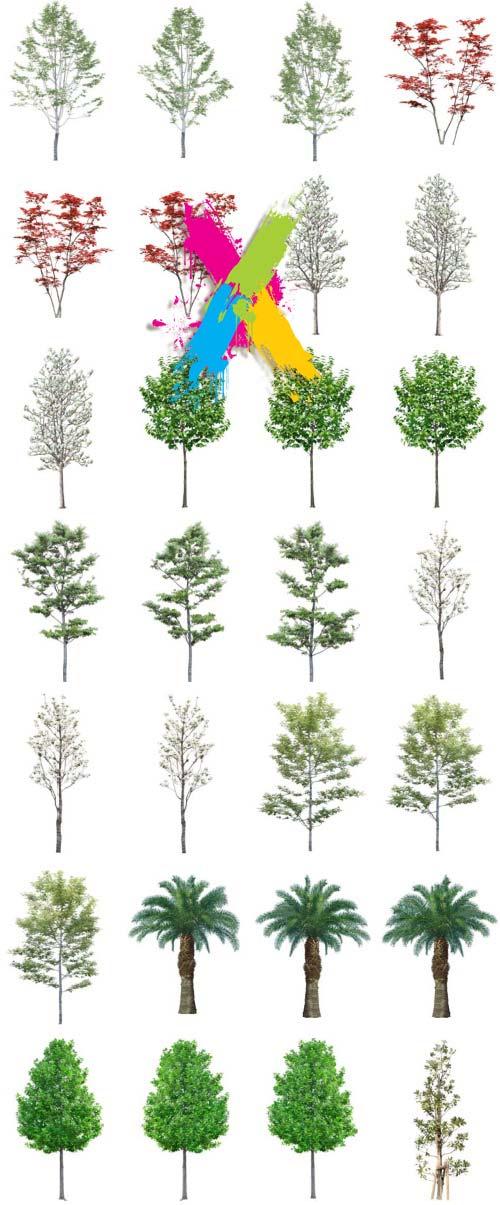 Tenkei Kobo TK11 Tree 3