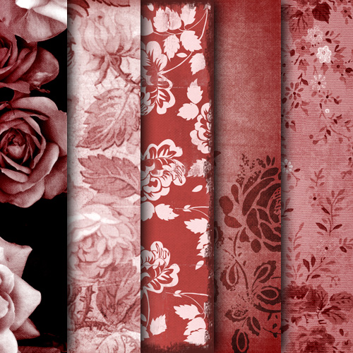 Textures  Roses