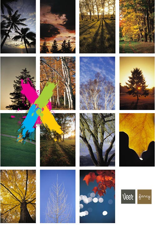 Veer Fancy FAN2001647 In The Trees