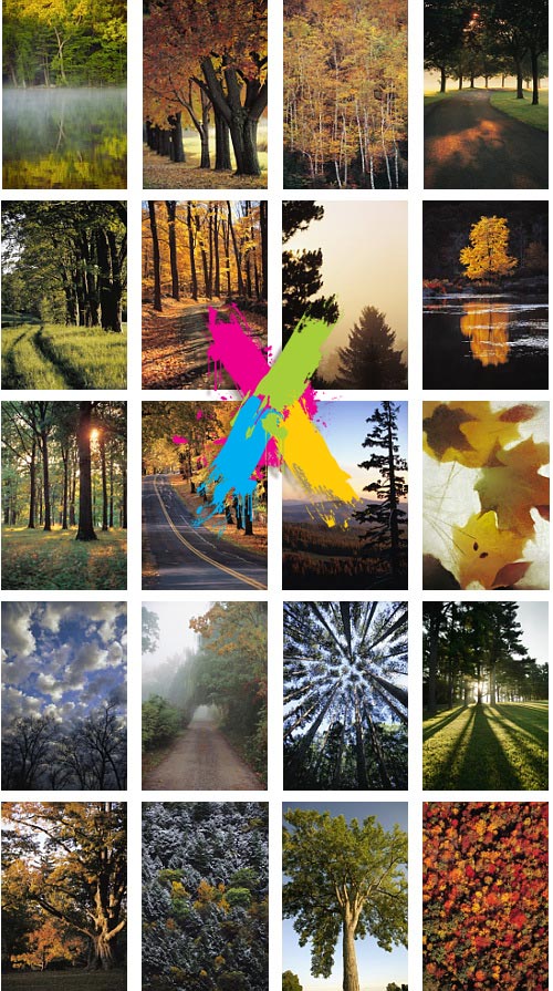 Veer Fancy FAN2001647 In The Trees