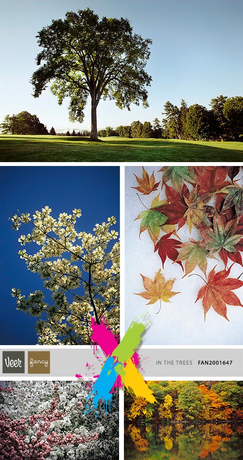 Veer Fancy FAN2001647 In The Trees