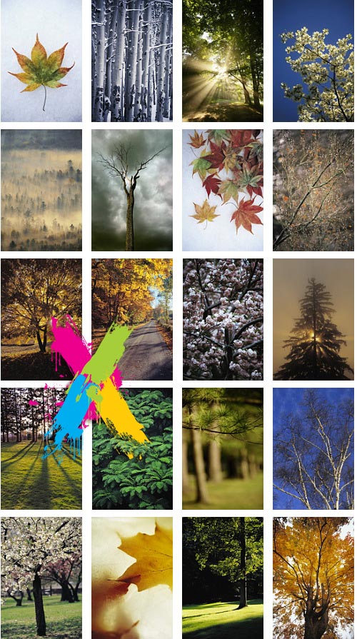 Veer Fancy FAN2001647 In The Trees