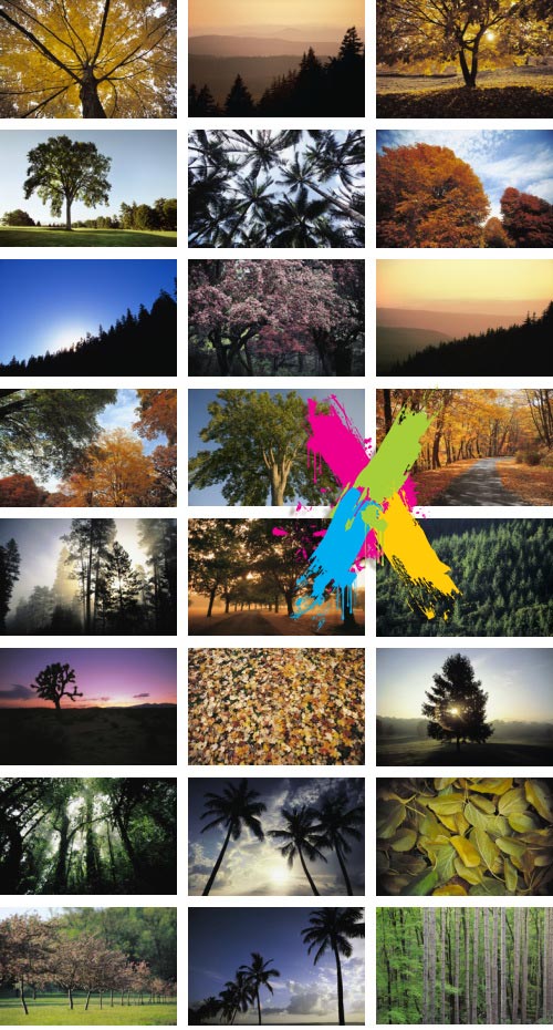 Veer Fancy FAN2001647 In The Trees