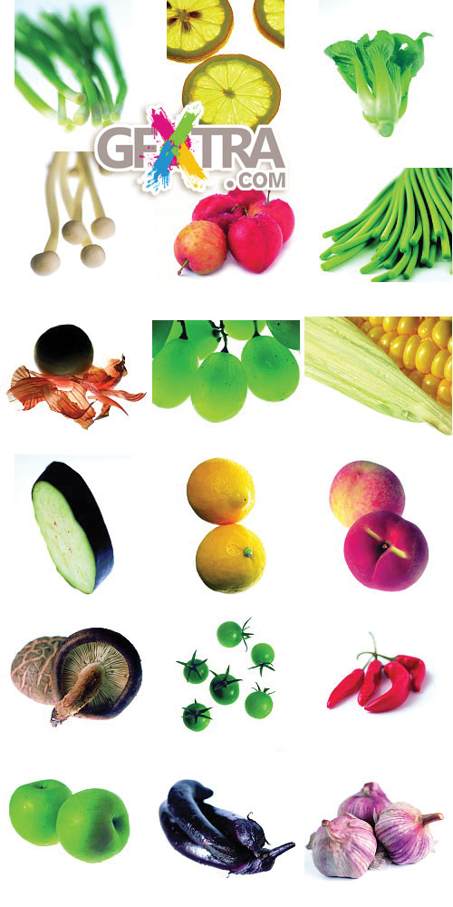 Six Lenz Vol.09 Fruit and Vegetables 2
