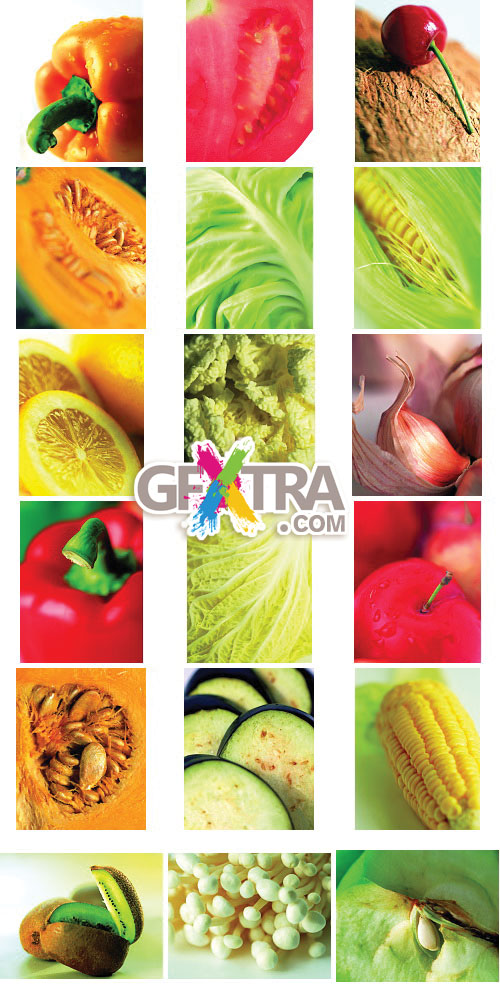 Six Lenz Vol.09 Fruit and Vegetables 2