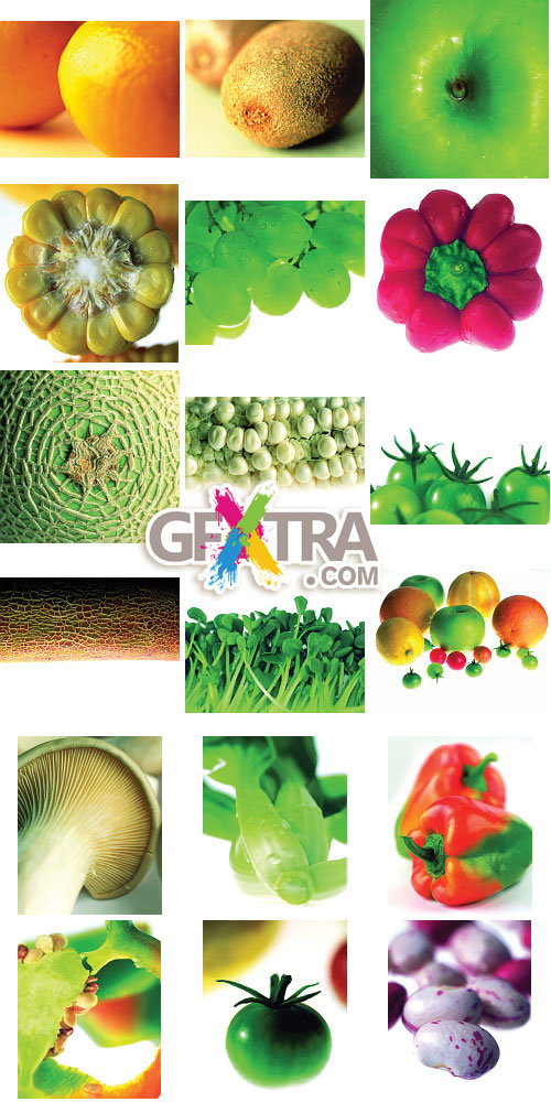 Six Lenz Vol.09 Fruit and Vegetables 2