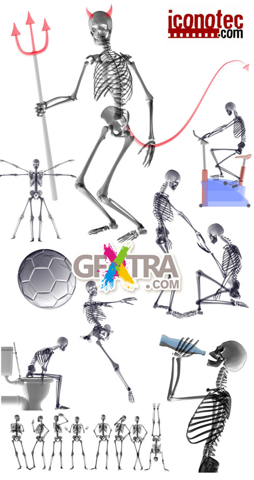 Iconotec 3D Renders 3D001 Skeletons