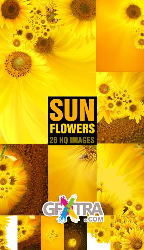 SunFlower Backgrounds 26xJPGs