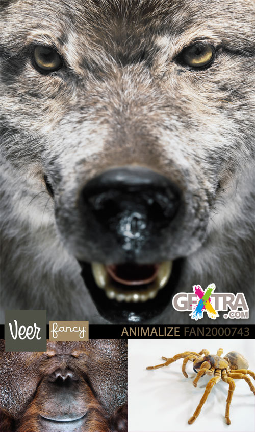 Veer Fancy FAN2000743 Design Line: Animalize