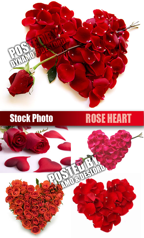 UHQ Stock Photo - Rose Heart