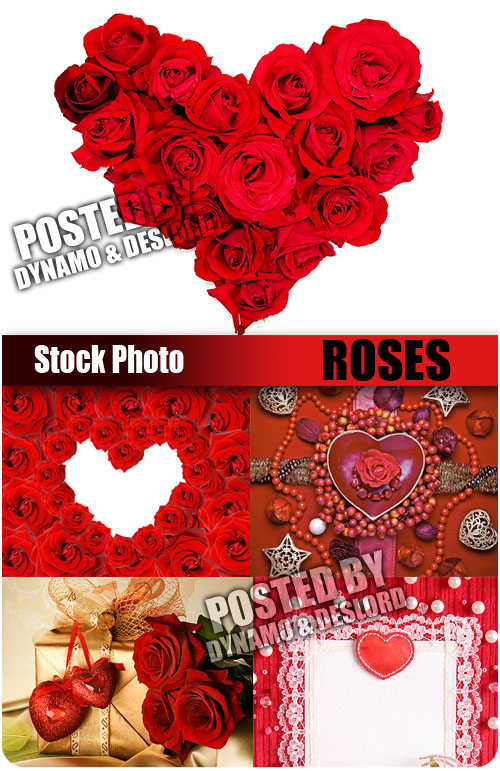 UHQ Stock Photo - Roses