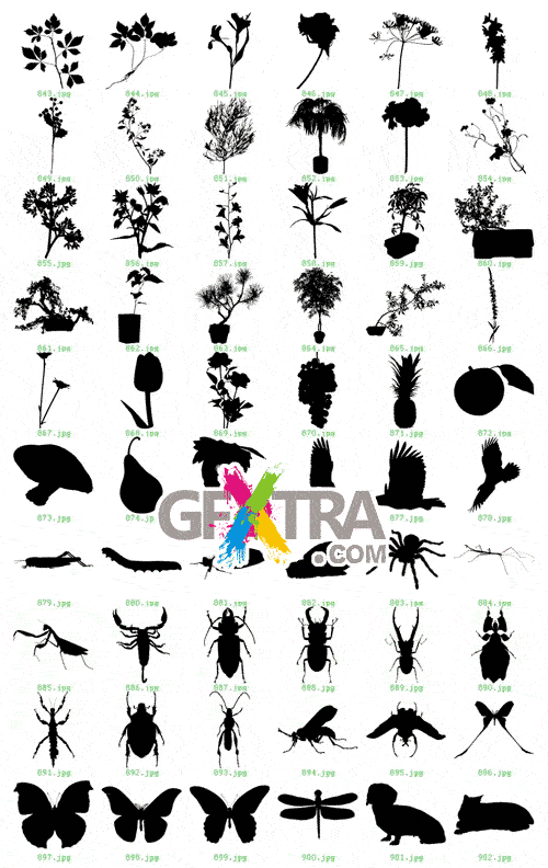 1000 Siluetas - Contemporary Silhouette Designs EPS - REUPLOADED