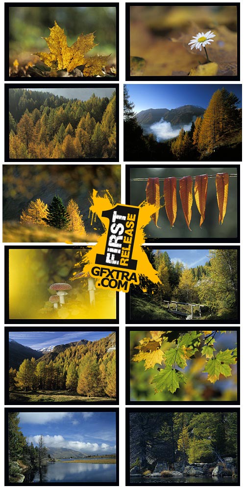 WestEnd61 Vol.014 Autumn