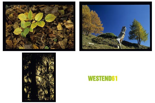 WestEnd61 Vol.014 Autumn