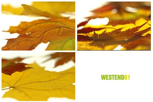WestEnd61 Vol.017 Autumn Leaves