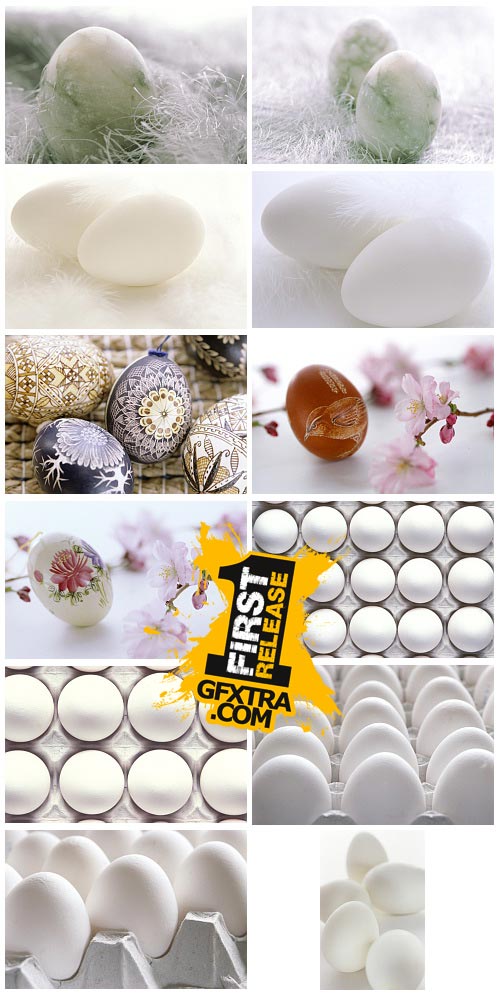 WestEnd61 Vol.021 Eggs