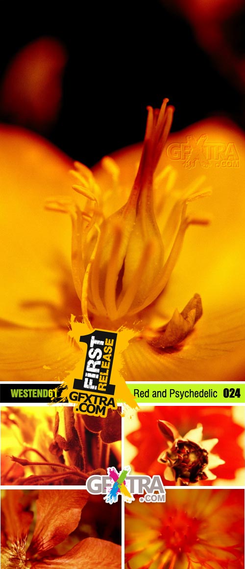 WestEnd61 Vol.024 Red and Psychedelic