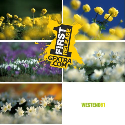 WestEnd61 Vol.038 Spring Messengers