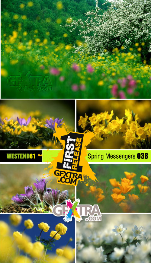 WestEnd61 Vol.038 Spring Messengers
