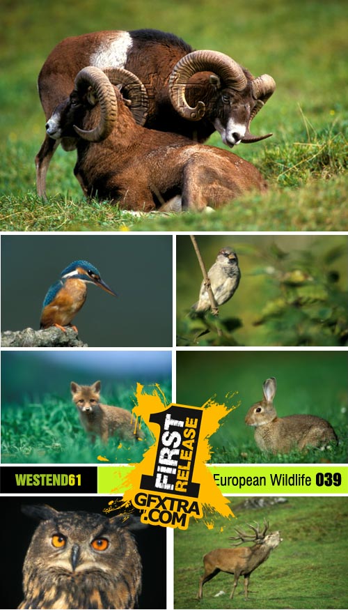 WestEnd61 Vol.039 European Wildlife