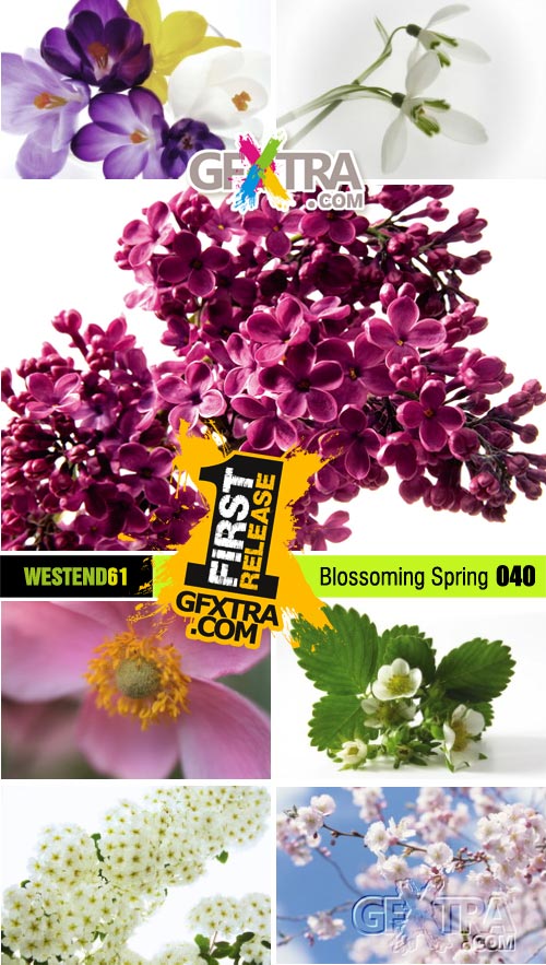 WestEnd61 Vol.040 Blossoming Spring