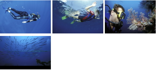 WestEnd61 Vol.045 Submerge