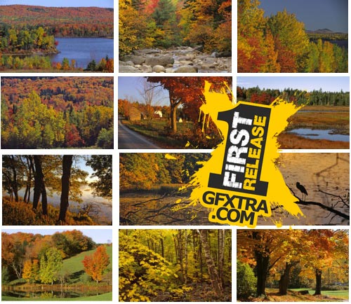 WestEnd61 Vol.051 Indian Summer WestEnd61 Vol.051 Indian Summer