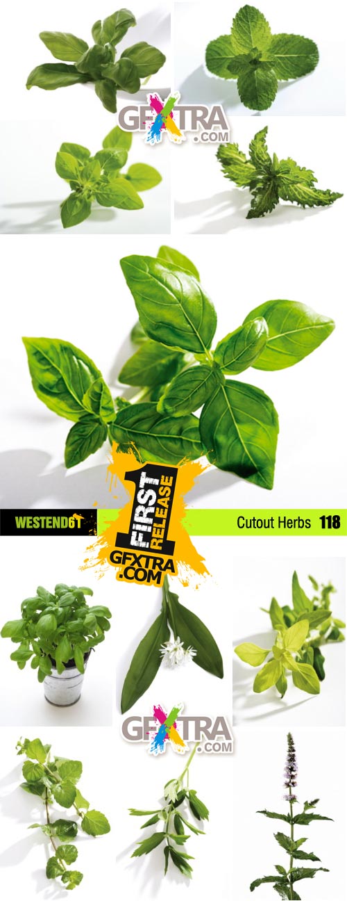 WestEnd61 Vol.118 Cutout Herbs