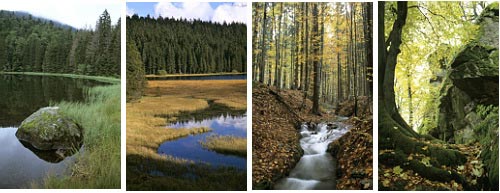 WestEnd61 Vol.052 Bavarian Forest - Four Seasons