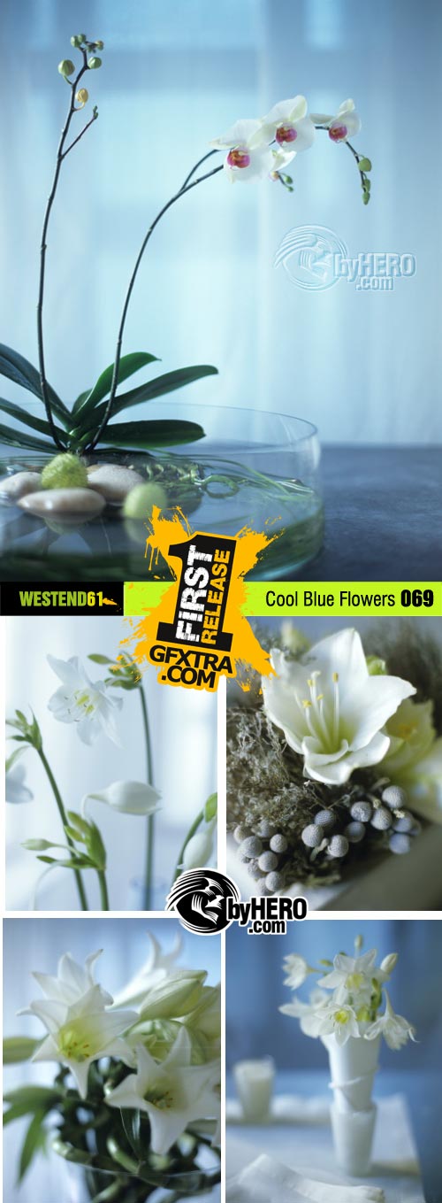 WestEnd61 Vol.069 Cool blue Flowers