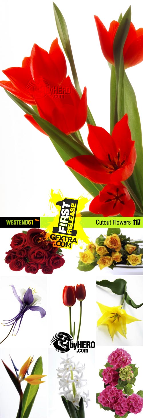 WestEnd61 Vol.117 Cutout Flowers