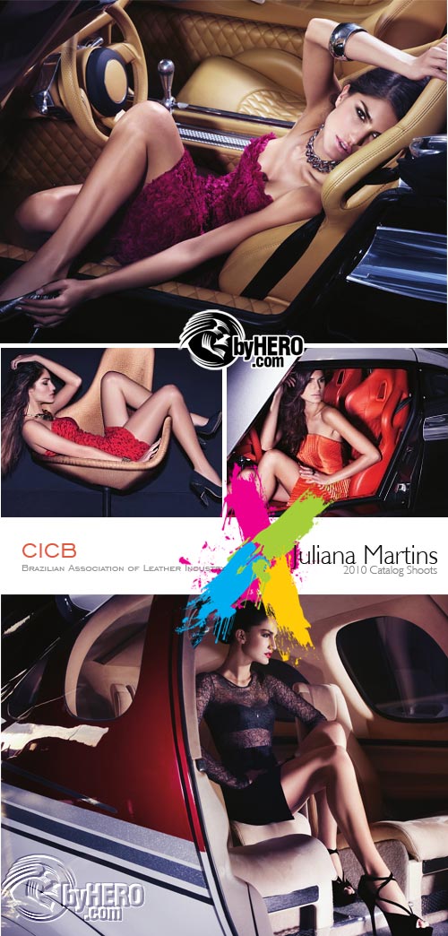 Brazilian Association of Leather Industry CICB 2010 Catalog, Juliana Martins