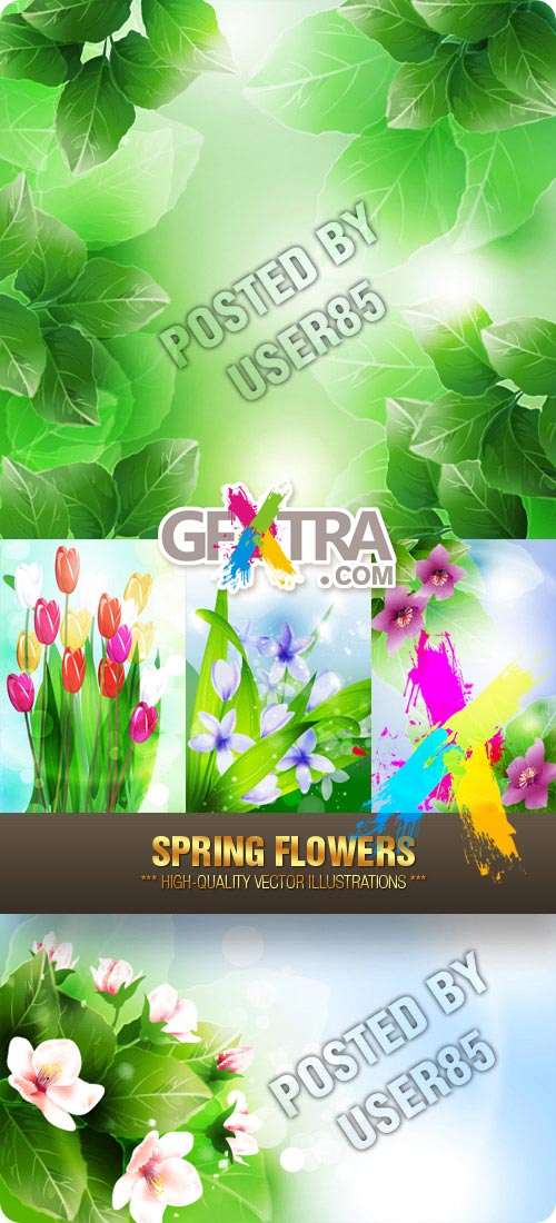 Stock Vector - Spring Flowers