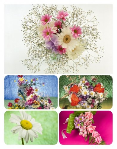 Beautiful Flowers Wallpapers 1600x1200#1