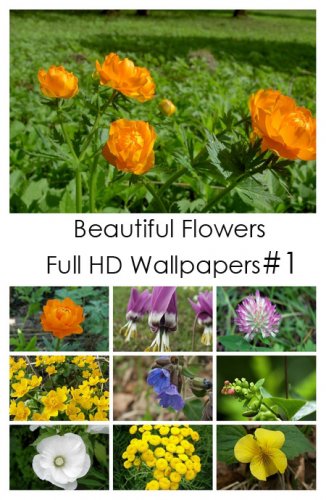 Beautiful Flowers Full HD Wallpapers#1