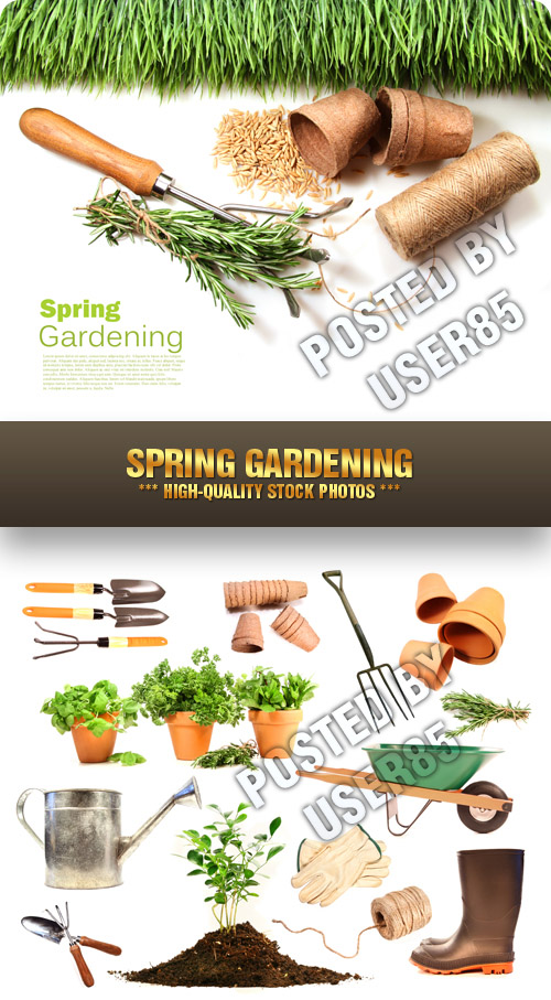 Stock Photo - Spring Gardening