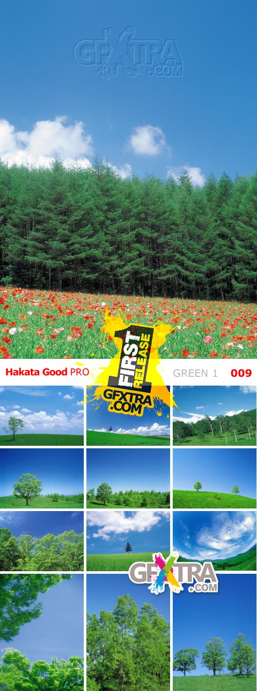 Green 1 - Hakata Good Pro 009