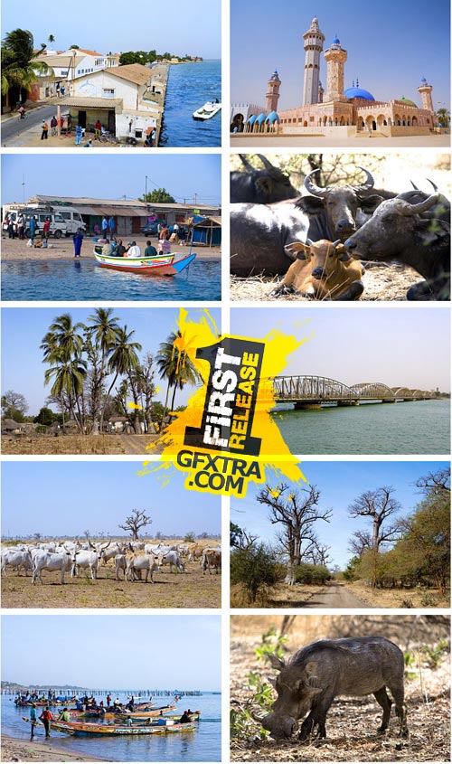 Author's Image 118 Senegal 2 Author's Image 118 Senegal 2