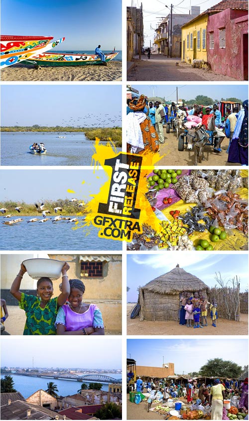 Author's Image 118 Senegal 2 Author's Image 118 Senegal 2