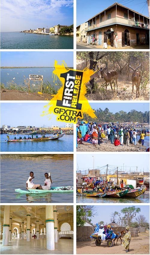 Author's Image 118 Senegal 2 Author's Image 118 Senegal 2