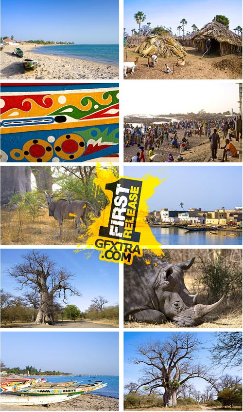 Author's Image 118 Senegal 2 Author's Image 118 Senegal 2