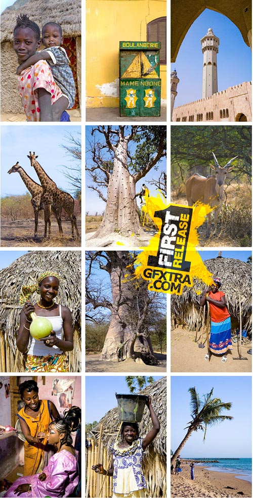 Author's Image 118 Senegal 2 Author's Image 118 Senegal 2