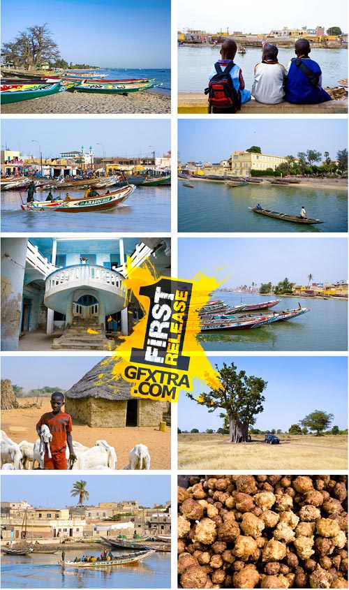 Author's Image 118 Senegal 2 Author's Image 118 Senegal 2